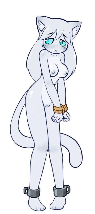 Image Set Up For Auction